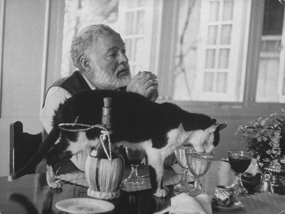 Hemingway'den kime ne?